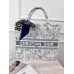 Сумка шоппер Крістіан Діор шоппер текстильний Large Book Tote Animal сірий