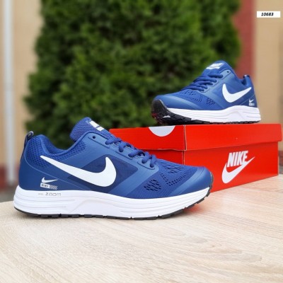 Nike ZOOM Pegasus 31 синие, Размер 42