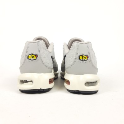 Nike AIR Max plus TN бежеві, Розмір 40
