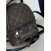 Женский рюкзак Louis Vuitton Palm Springs Mini коричневый + черный Луи Виттон