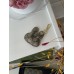 Жіноча сумка клатч Гуччі коричневий. Подарунковий набір Gucci Ophidia жіночий 3 предмети